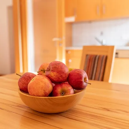 Apartamento Appartementhaus Steirergasse By Schladming-appartements