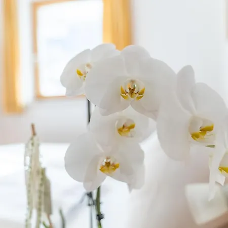 Apartment Appartementhaus Steirergasse By Schladming-appartements