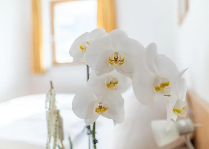 Lägenhet Appartementhaus Steirergasse By Schladming-appartements