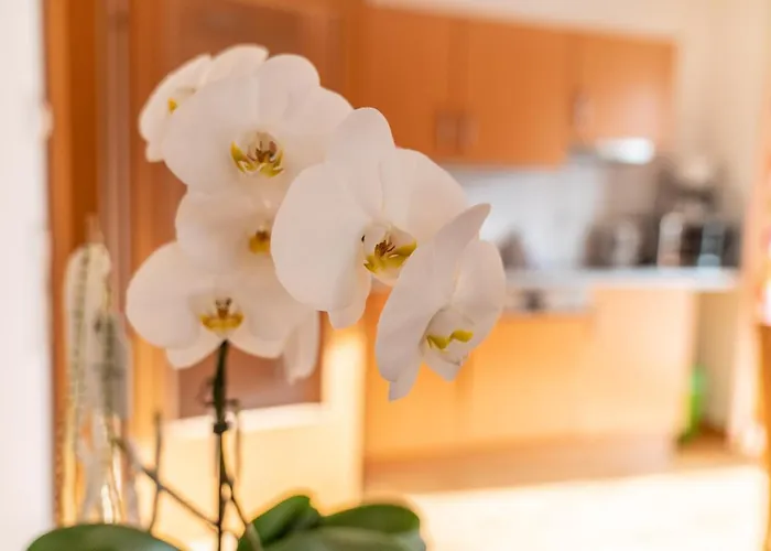 Daire Appartementhaus Steirergasse By Schladming-appartements